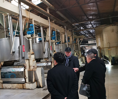 Corn oil production equipment